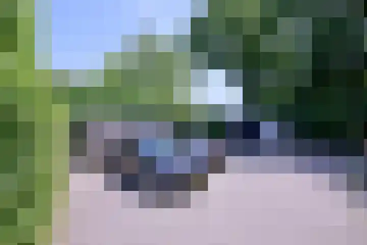 Esdoornlaan 28 Deventer thumbnail 42
