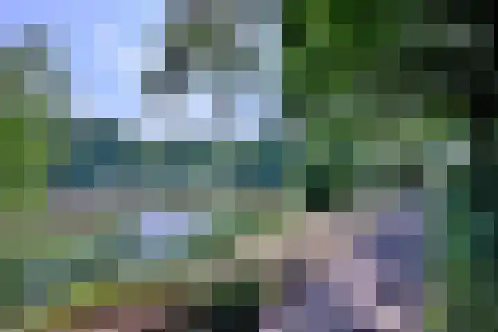 Esdoornlaan 28 Deventer thumbnail 43