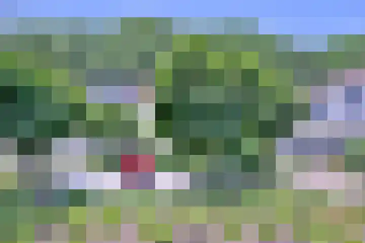 Esdoornlaan 28 Deventer thumbnail 46