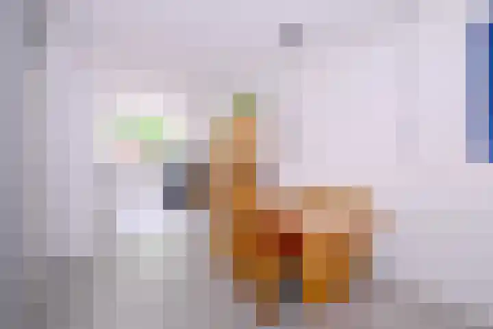 Esdoornlaan 28 Deventer thumbnail 9