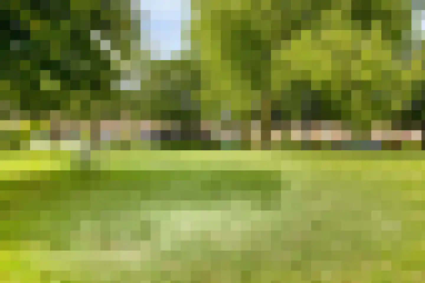 Esdoornlaan 28 Heerhugowaard thumbnail 44