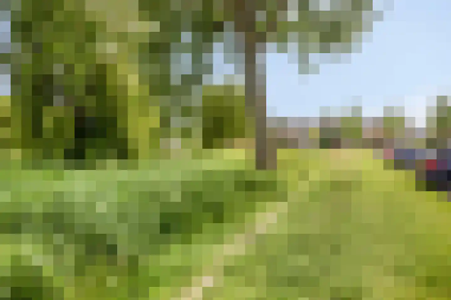 Esdoornlaan 28 Heerhugowaard thumbnail 45