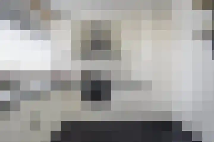 Esdoornlaan 28 Zwanenburg thumbnail 9