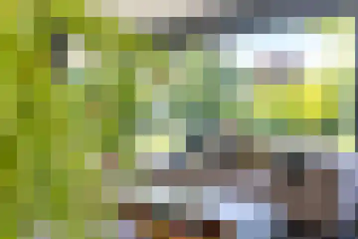 Esdoornlaan 3 Soest thumbnail 11