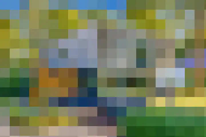 Esdoornlaan 3 Soest thumbnail 34