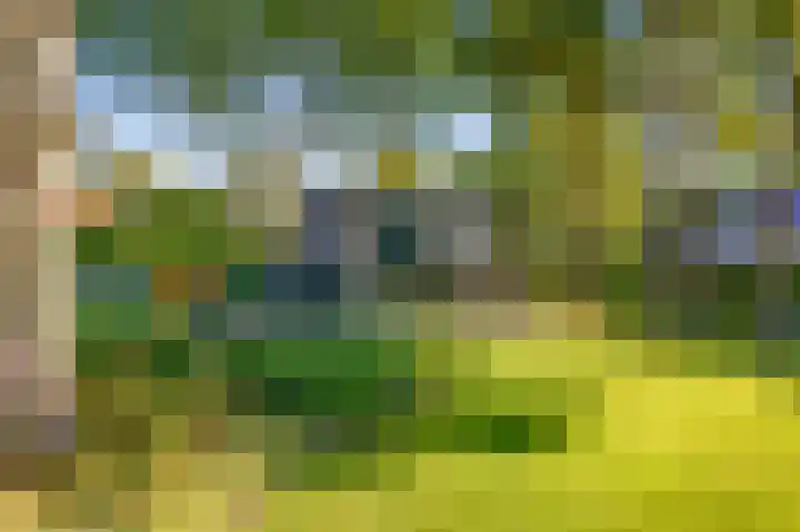 Esdoornlaan 3 Soest thumbnail 35