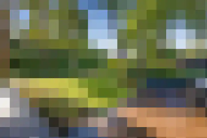 Esdoornlaan 3 Soest thumbnail 37