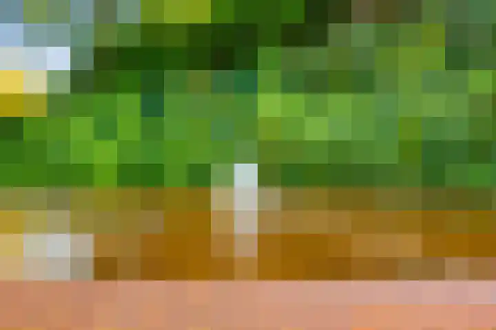 Esdoornlaan 3 Soest thumbnail 38