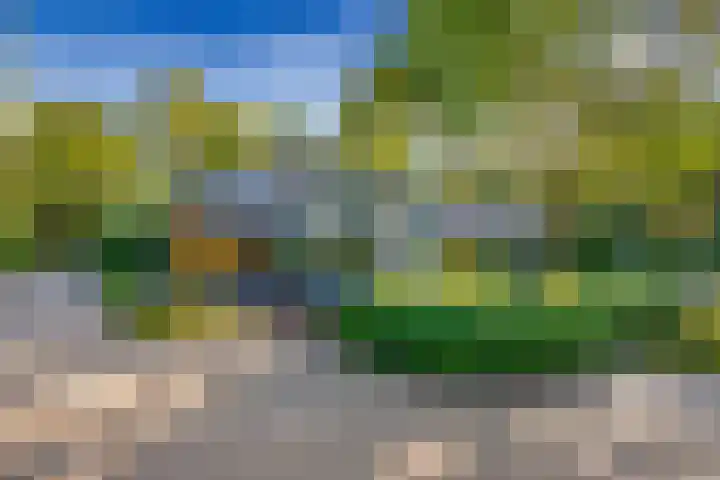 Esdoornlaan 3 Soest thumbnail 40