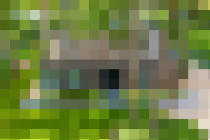 Esdoornlaan 3 Soest thumbnail 41