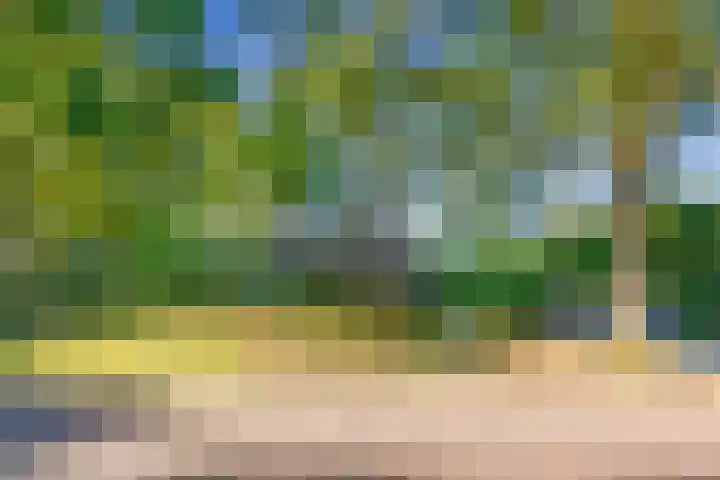 Esdoornlaan 3 Soest thumbnail 42