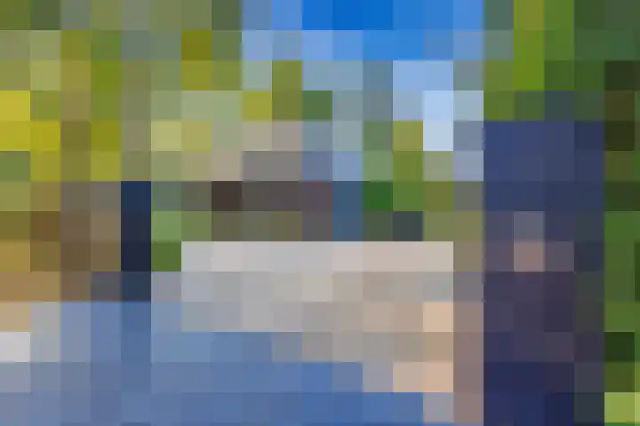 Esdoornlaan 3 Soest thumbnail 5