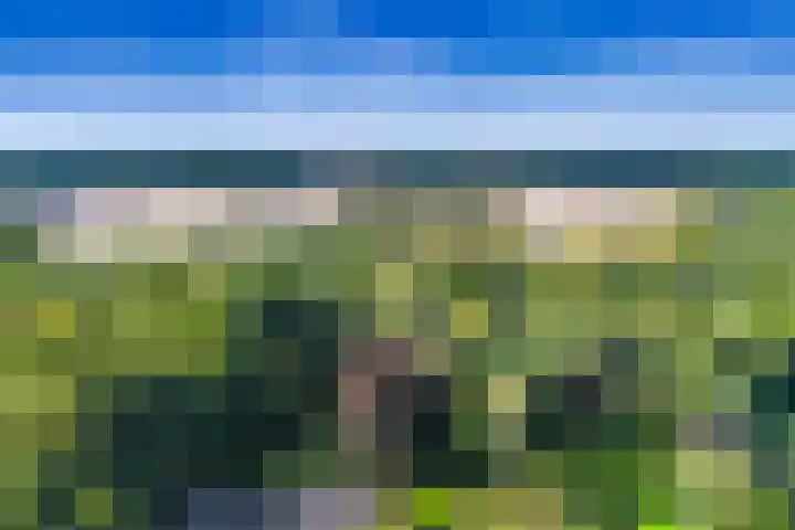 Esdoornlaan 3 Soest thumbnail 6