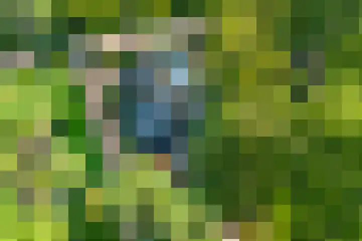 Esdoornlaan 3 Soest thumbnail 7
