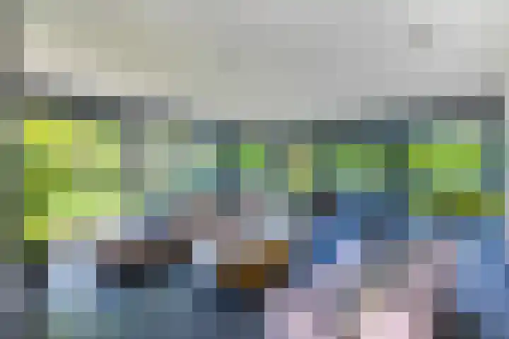 Esdoornlaan 3 Soest thumbnail 9