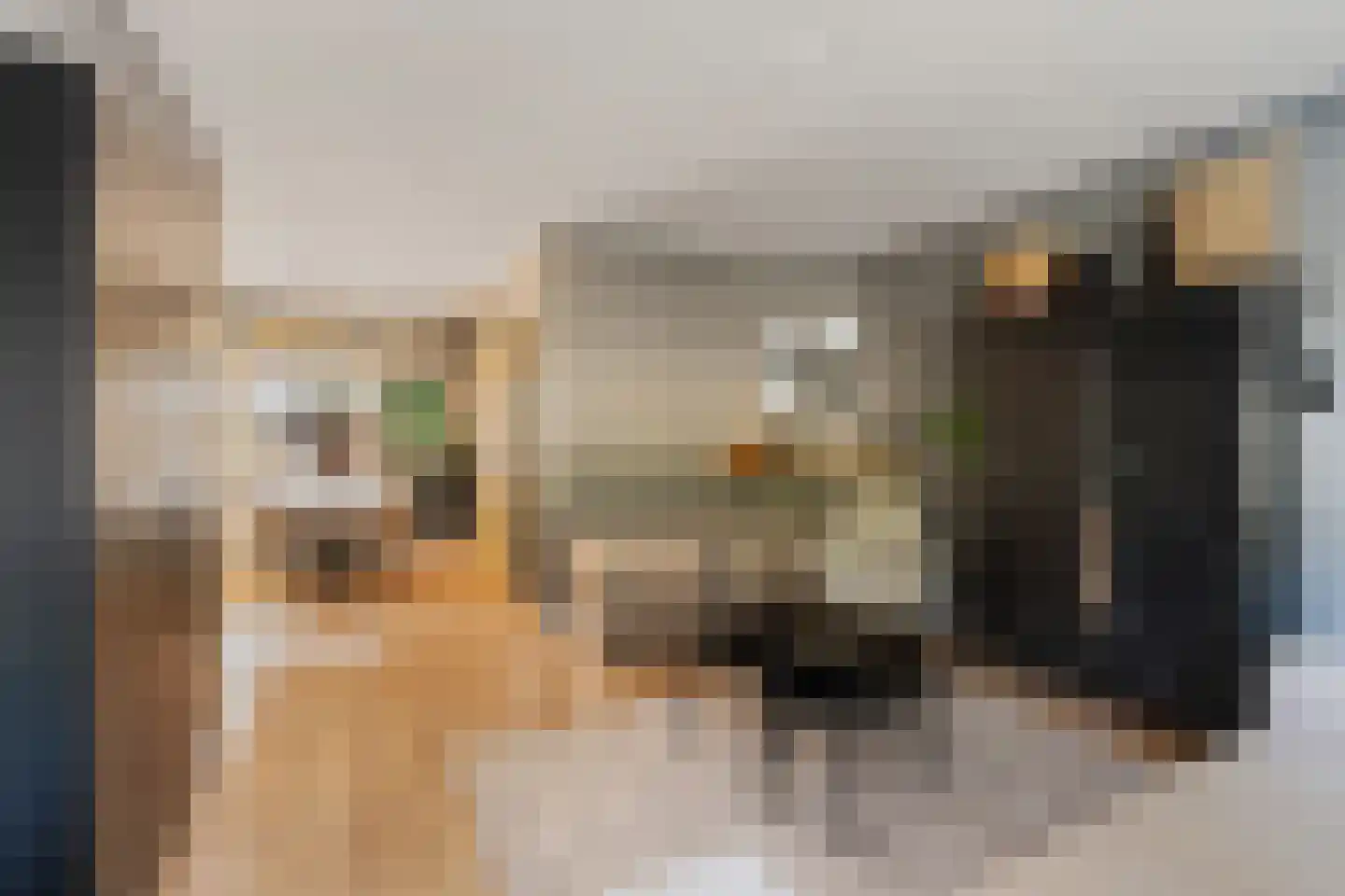 Esdoornlaan 3 Waddinxveen thumbnail 10