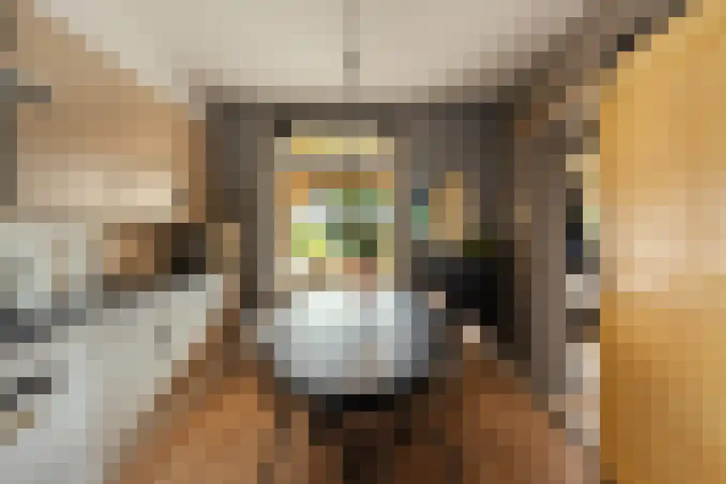 Esdoornlaan 3 Waddinxveen thumbnail 11