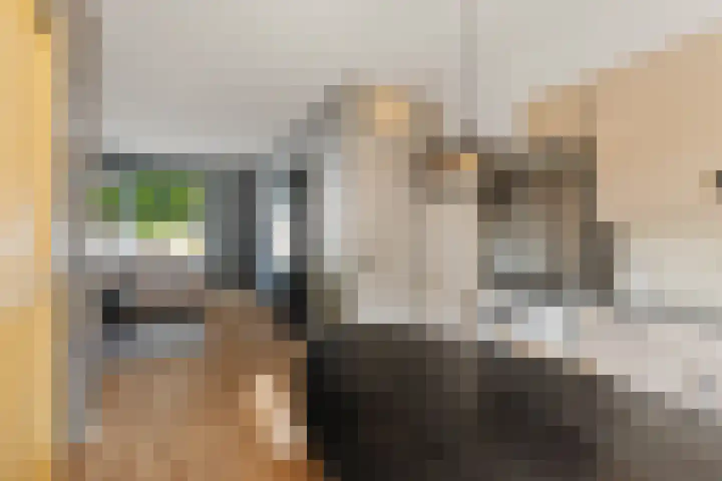 Esdoornlaan 3 Waddinxveen thumbnail 13
