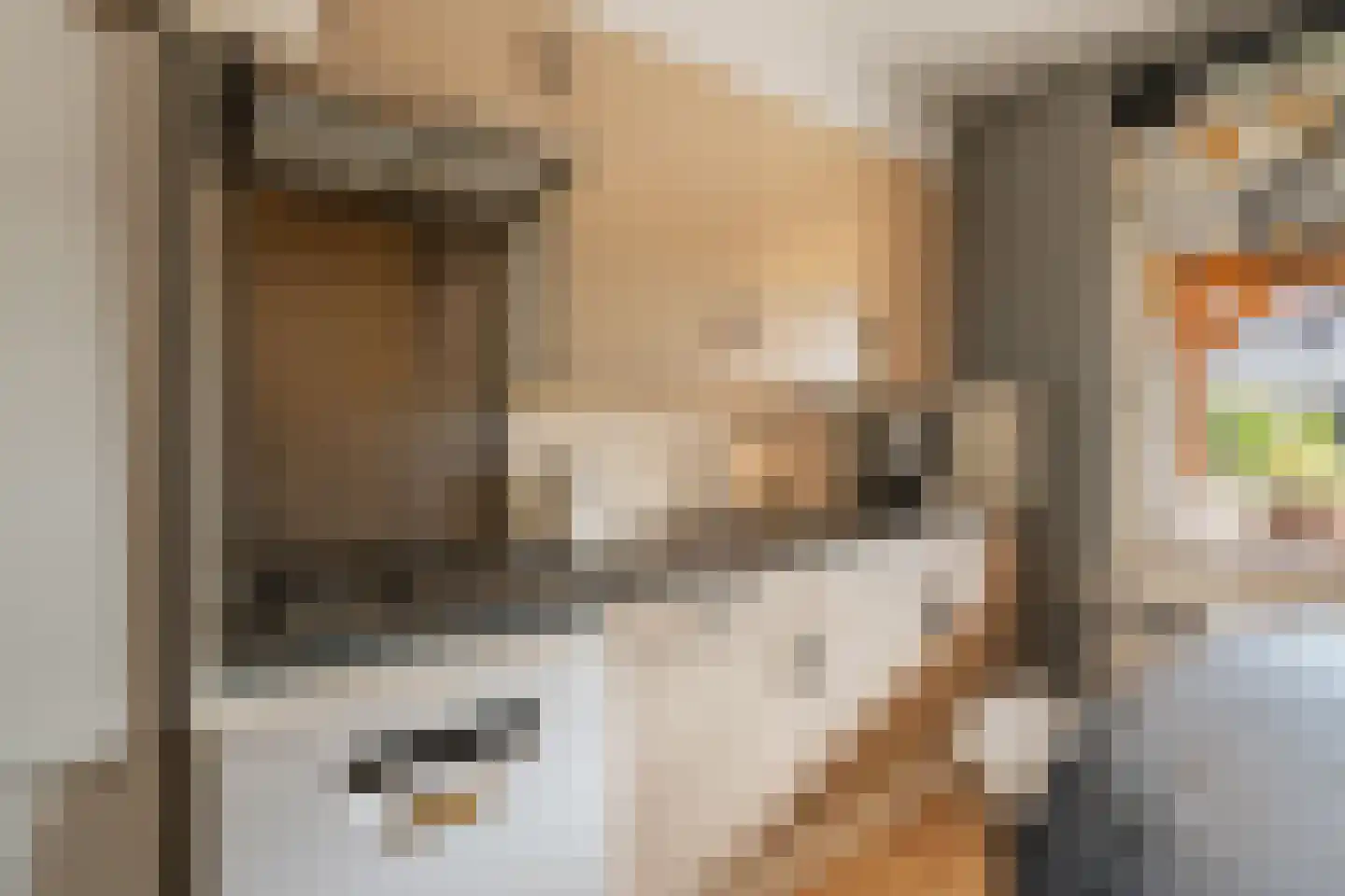 Esdoornlaan 3 Waddinxveen thumbnail 14