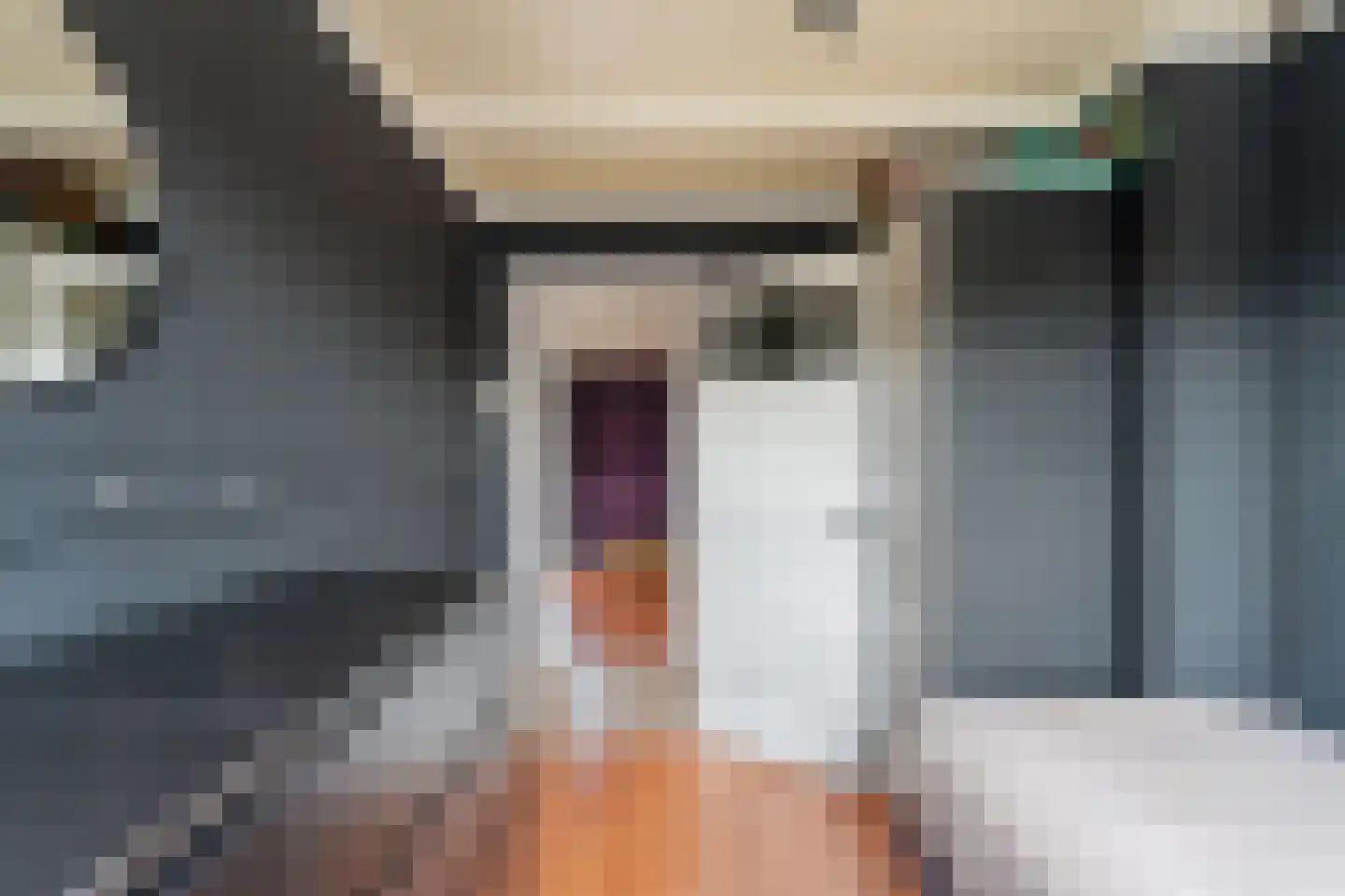 Esdoornlaan 3 Waddinxveen thumbnail 21