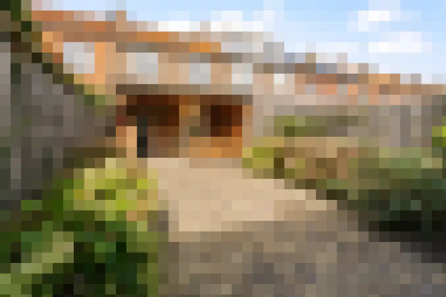 Esdoornlaan 3 Waddinxveen thumbnail 28