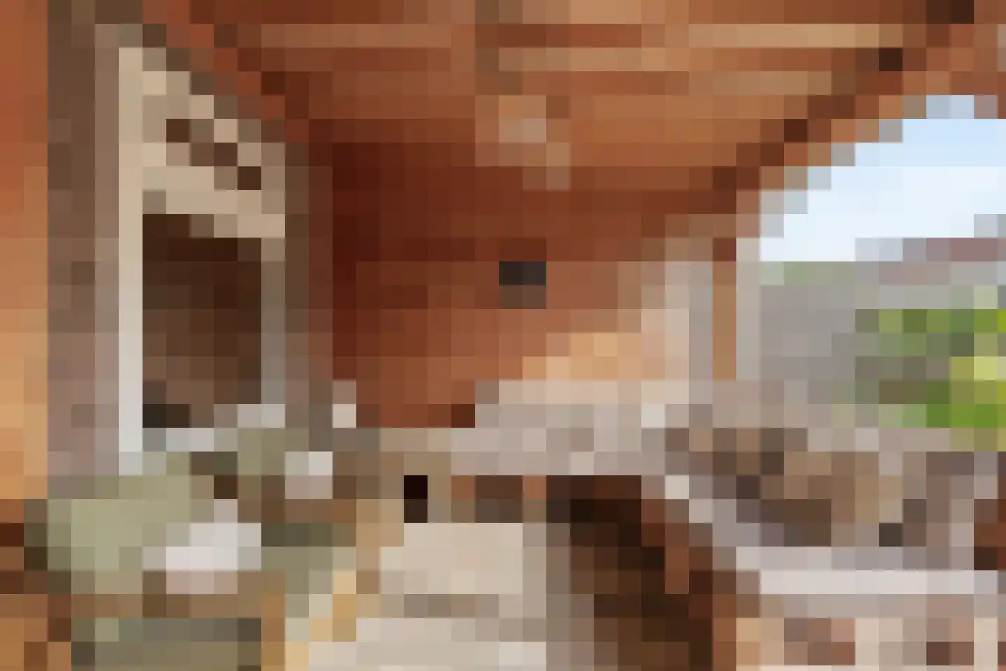 Esdoornlaan 3 Waddinxveen thumbnail 29