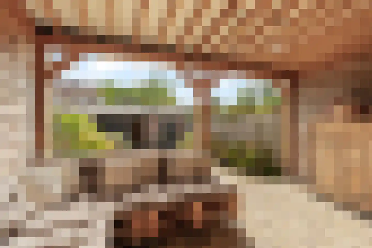 Esdoornlaan 3 Waddinxveen thumbnail 30