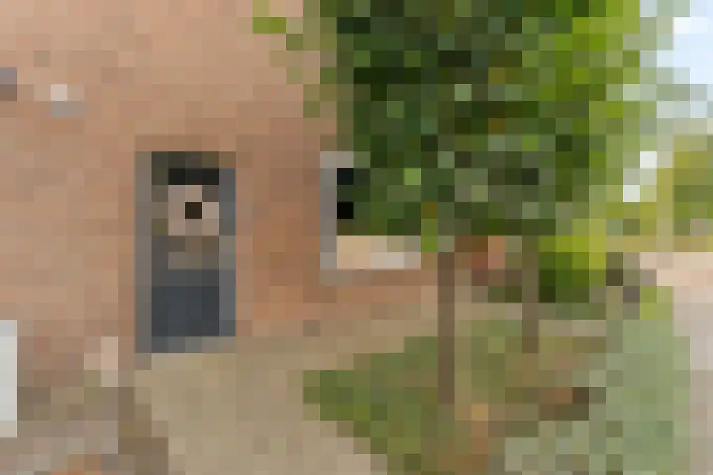 Esdoornlaan 3 Waddinxveen thumbnail 5