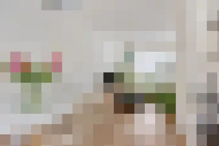 Esdoornlaan 3 Woudenberg thumbnail 10