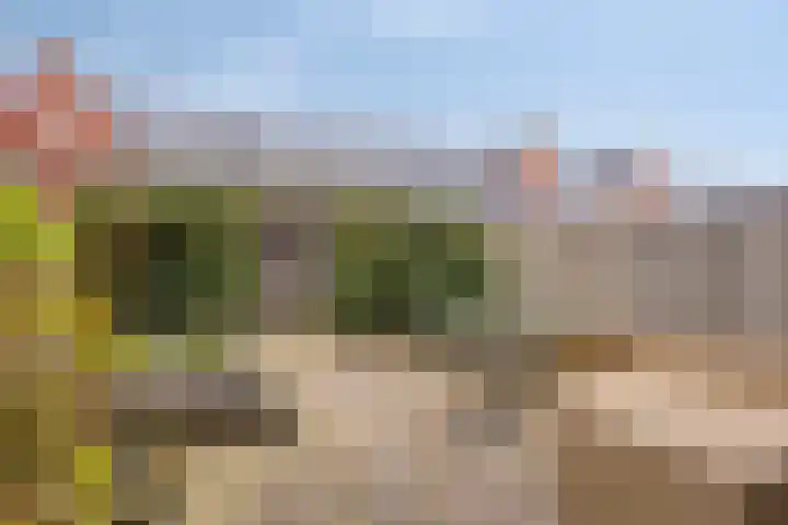 Esdoornlaan 3 Woudenberg thumbnail 22
