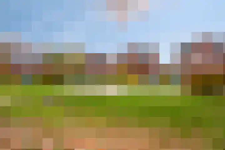 Esdoornlaan 3 Woudenberg thumbnail 24