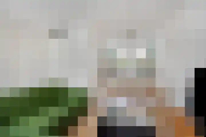Esdoornlaan 3 Woudenberg thumbnail 6
