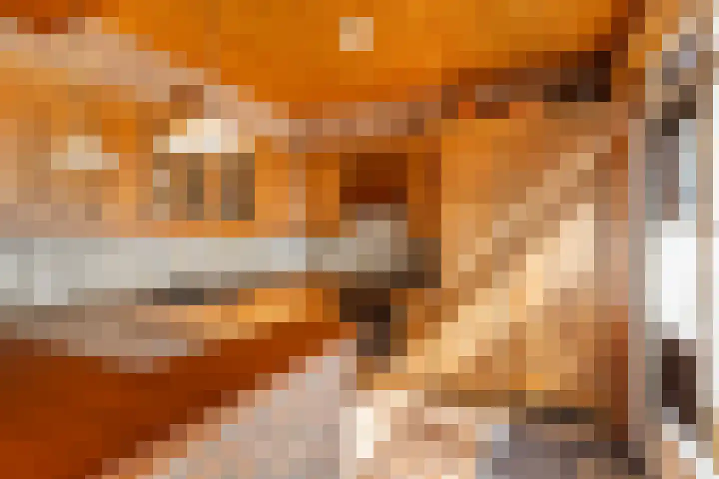 Esdoornlaan 32 Rozenburg thumbnail 16
