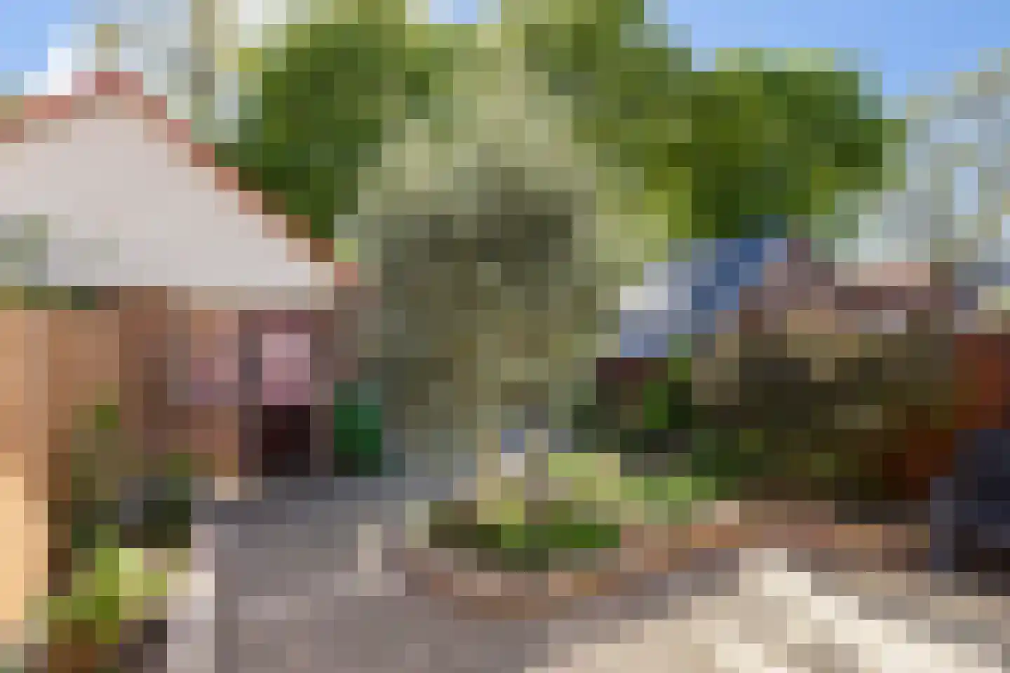Esdoornlaan 32 Rozenburg thumbnail 19