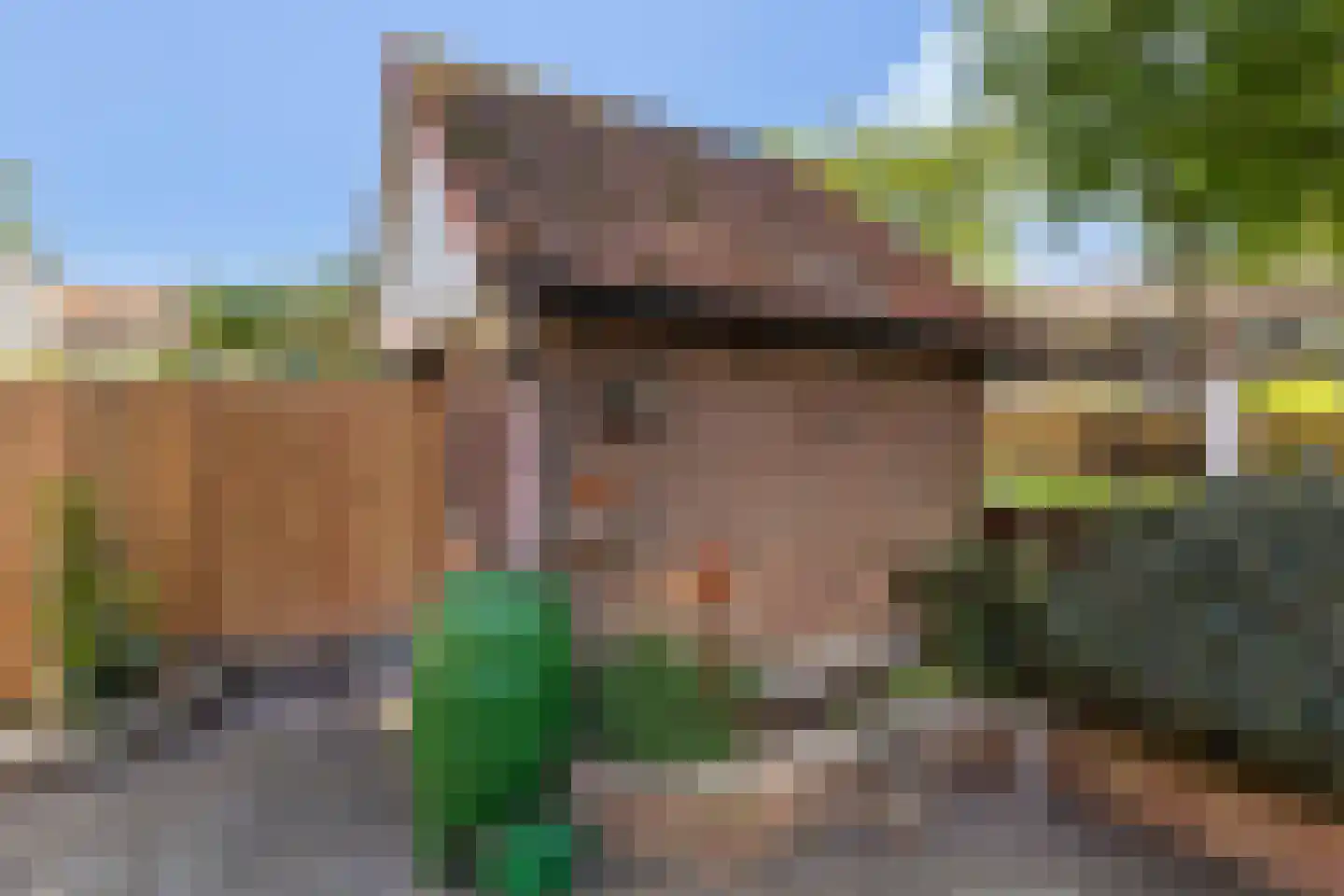 Esdoornlaan 32 Rozenburg thumbnail 22