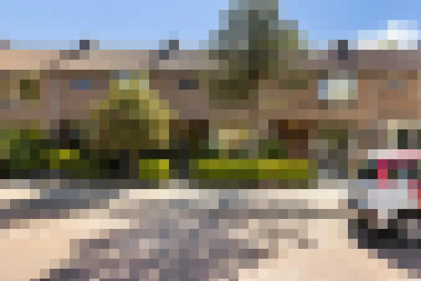 Esdoornlaan 32 Rozenburg thumbnail 39