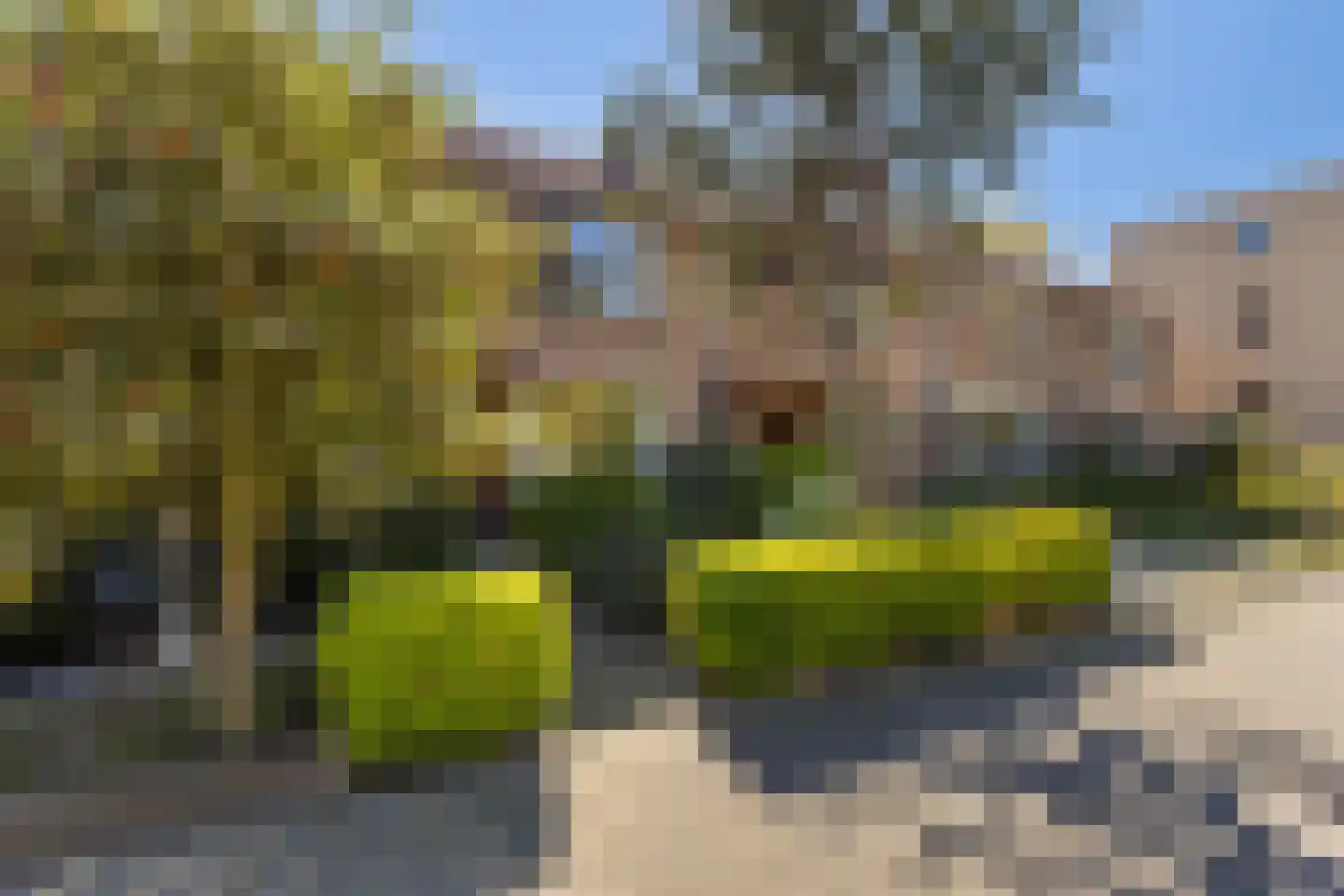 Esdoornlaan 32 Rozenburg thumbnail 40