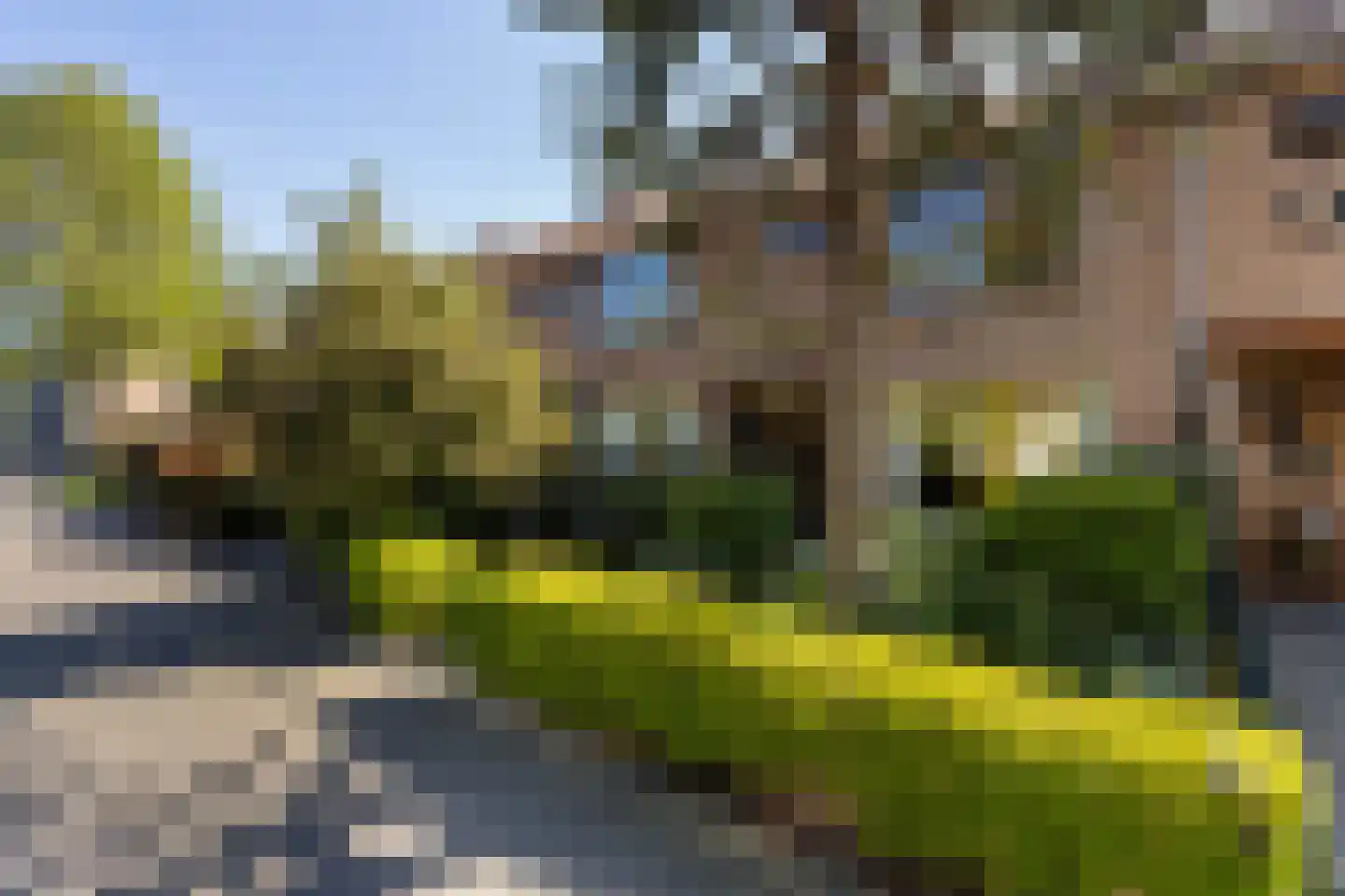 Esdoornlaan 32 Rozenburg thumbnail 41