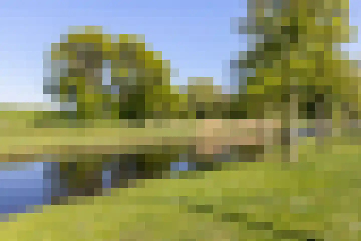 Esdoornlaan 32 Rozenburg thumbnail 44