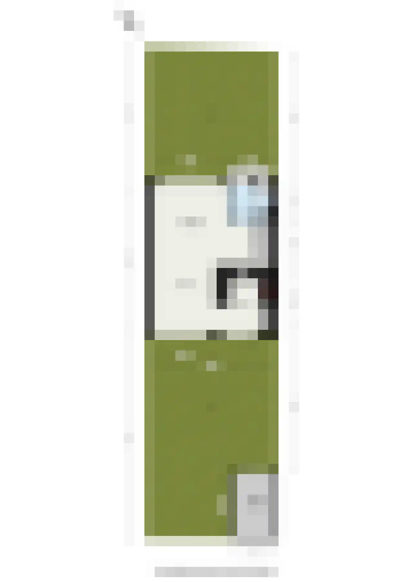 Esdoornlaan 32 Rozenburg thumbnail 48
