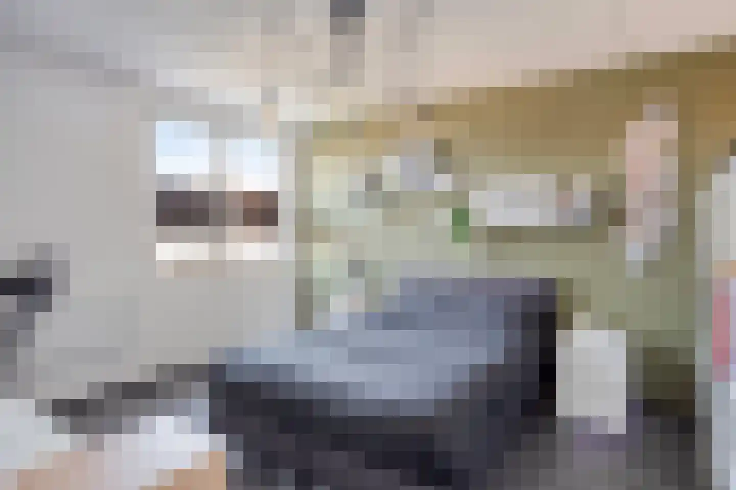 Esdoornlaan 32 Sint Odiliënberg thumbnail 19