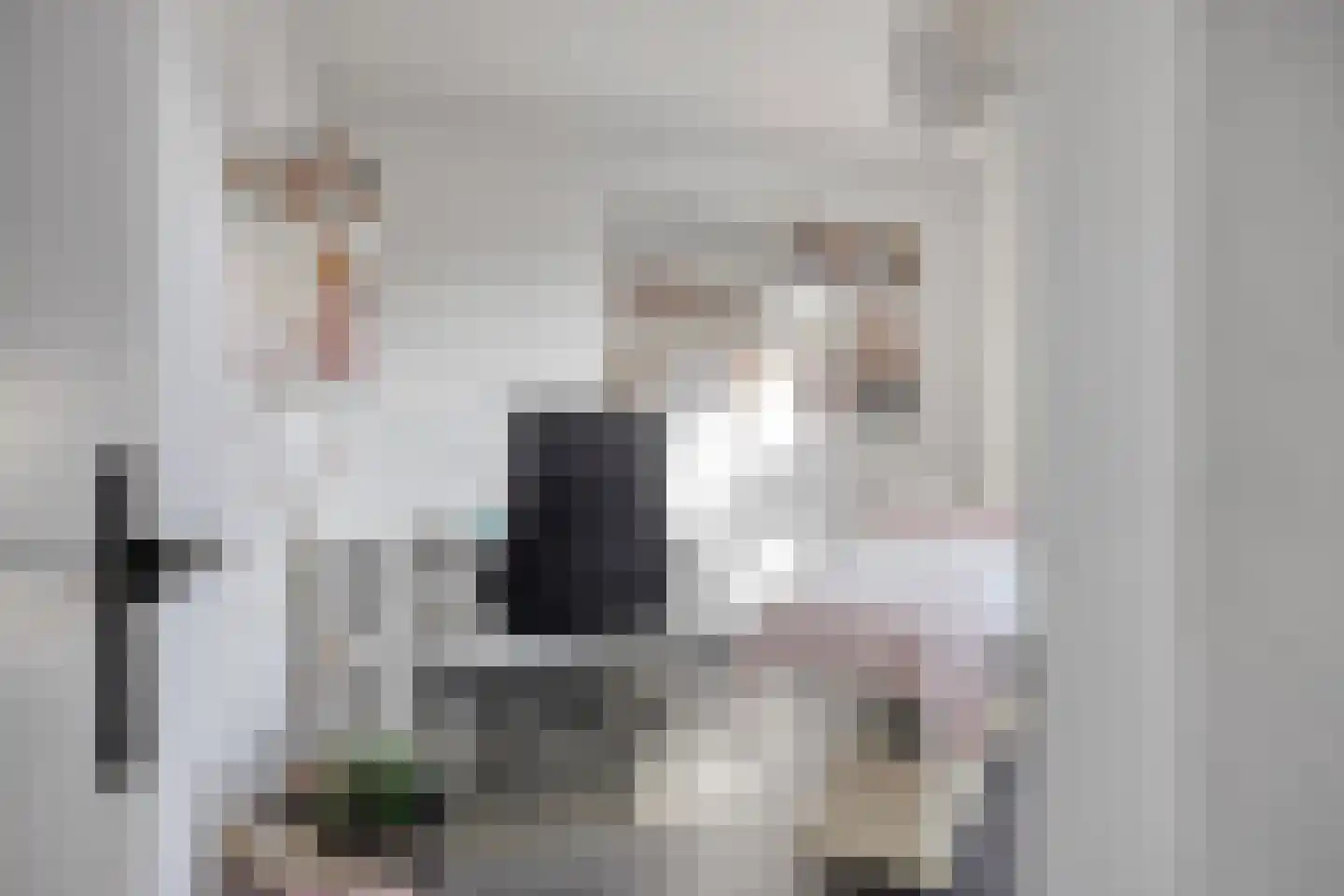 Esdoornlaan 32 Sint Odiliënberg thumbnail 21