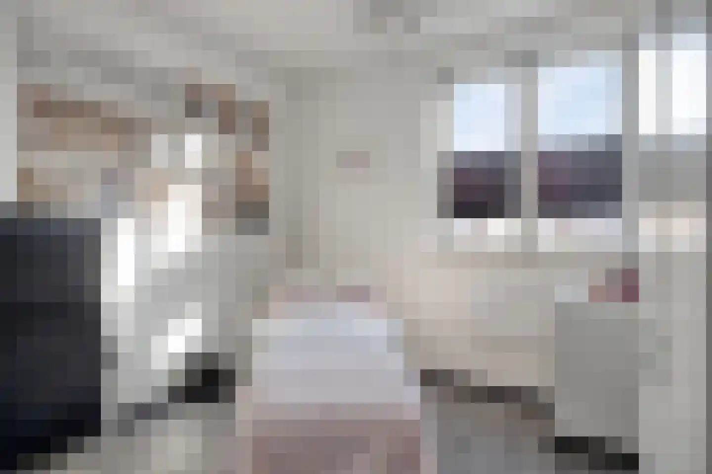 Esdoornlaan 32 Sint Odiliënberg thumbnail 22