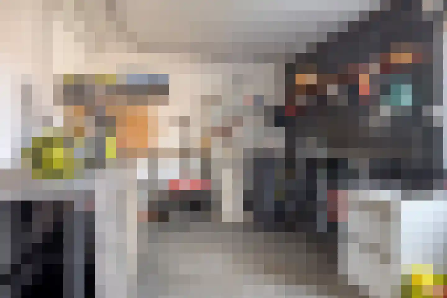 Esdoornlaan 32 Sint Odiliënberg thumbnail 31