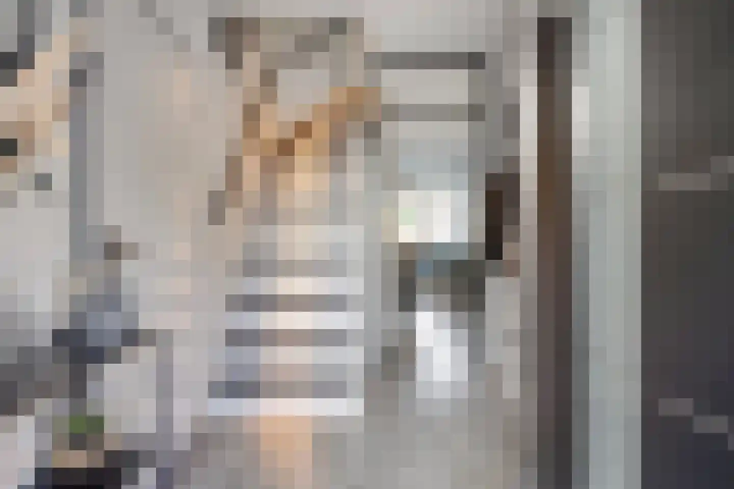 Esdoornlaan 32 Sint Odiliënberg thumbnail 5