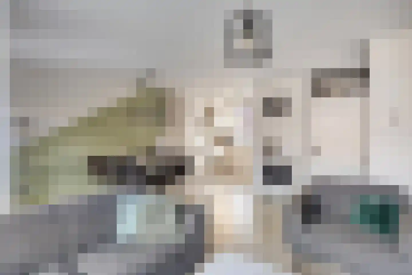 Esdoornlaan 32 Sint Odiliënberg thumbnail 9