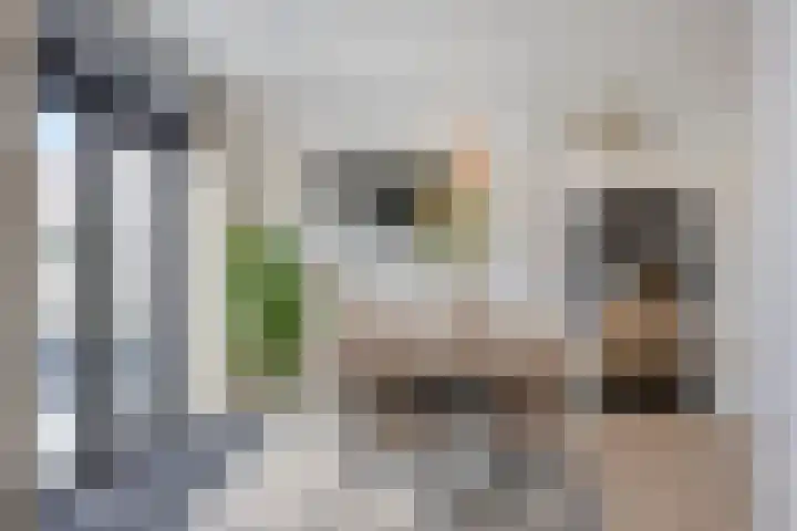 Esdoornlaan 34 Heerhugowaard thumbnail 16