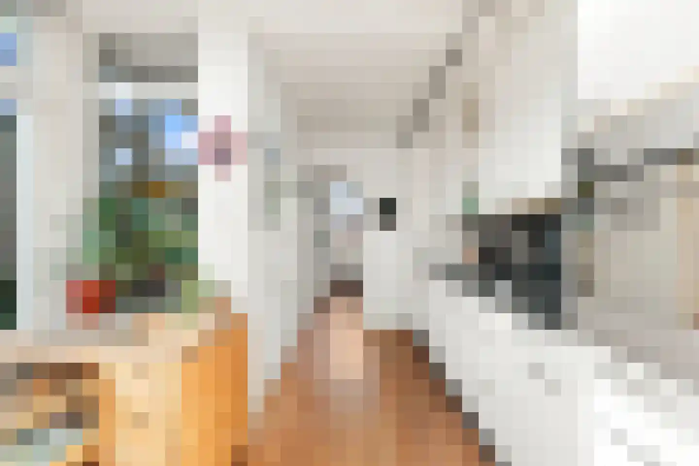Esdoornlaan 4 Egmond-Binnen thumbnail 18