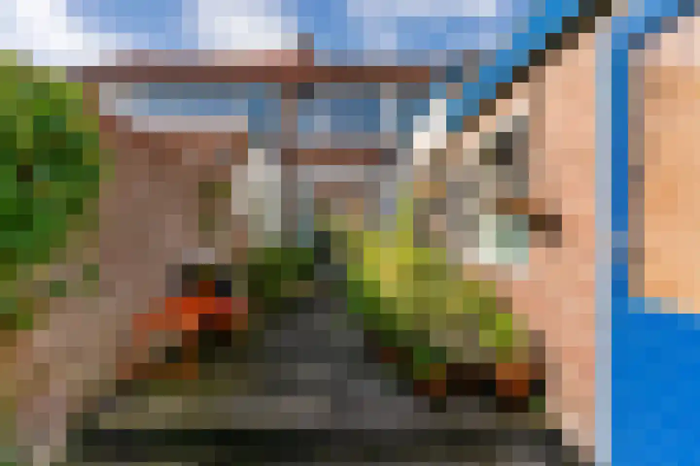 Esdoornlaan 4 Egmond-Binnen thumbnail 34