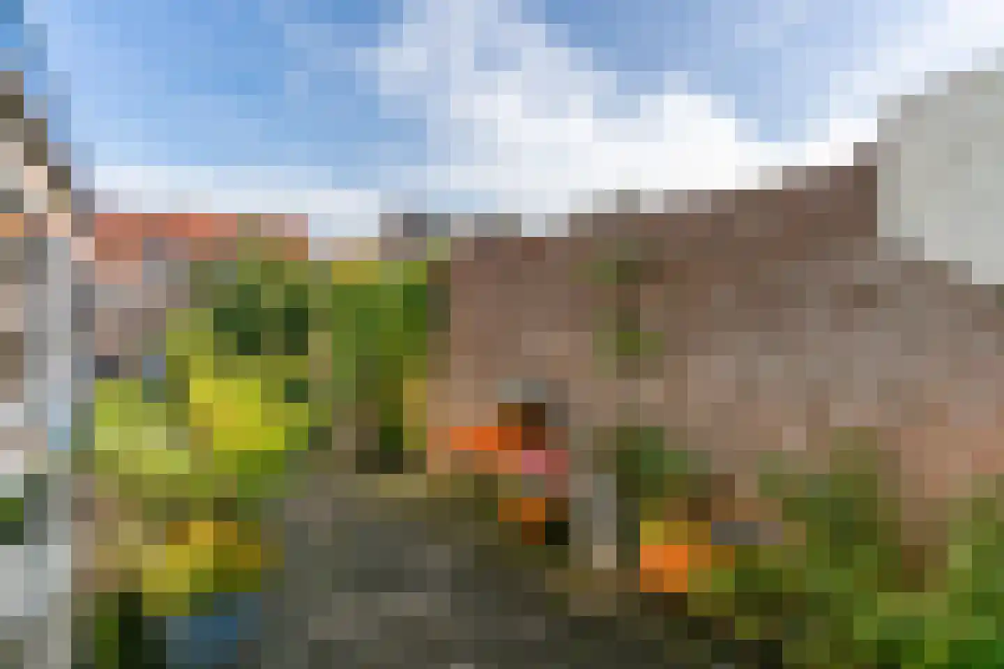 Esdoornlaan 4 Egmond-Binnen thumbnail 37